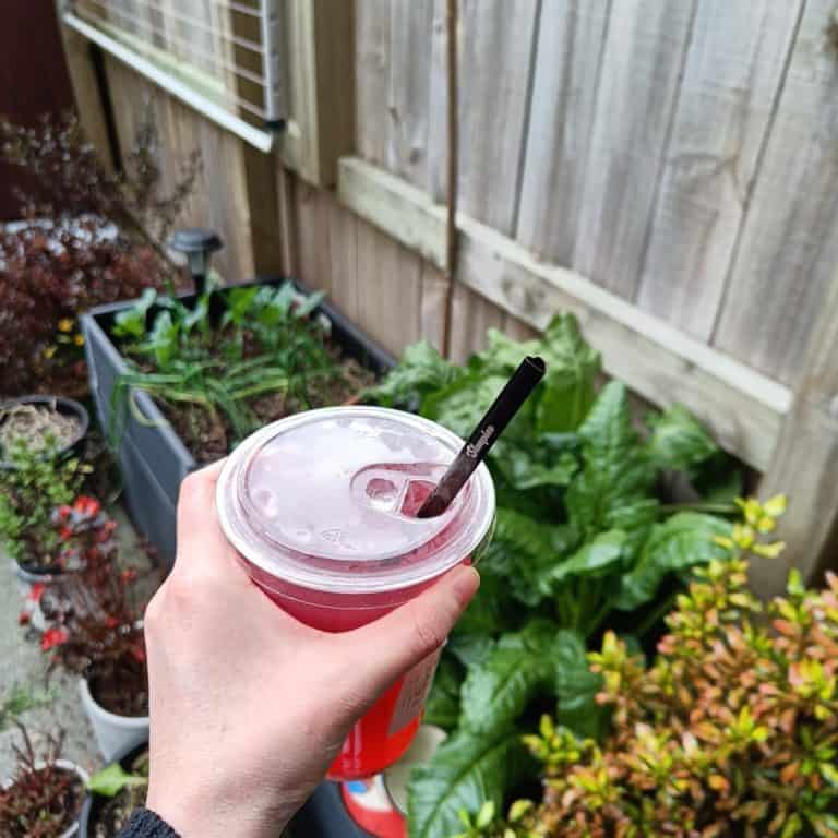Slurpies Straws