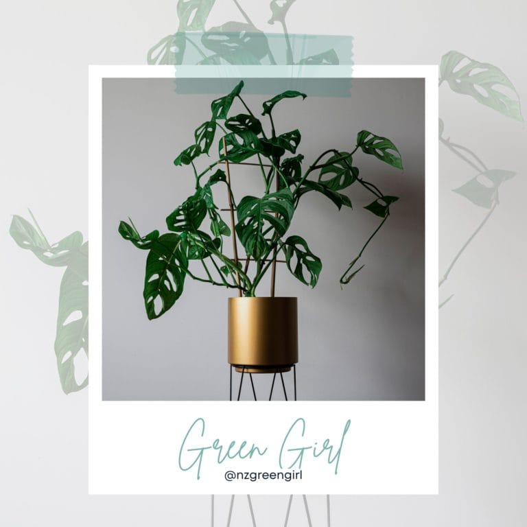 NZ Green Girl